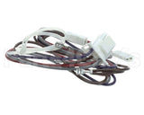 S1-02511415002 York Wire Harness,4Hk (8 & 10 Kw,240-1Ph)