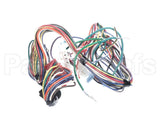 S1-02546389000 York Wire Harness,Ahv Ecm