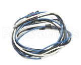 S1-02549262000 York Harness,Pressure Transducer,Low,Od