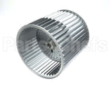 S1-02625529701 York Wheel,Blower,12X12,Rev,1"Bore