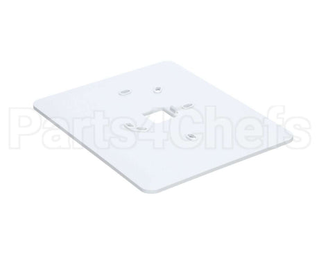 S1-02817577000 York Back Plate, 4.3 Hex Stat