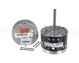S1-32436073546 York Mtr,Blw,Prgrm,1/2,Prm Ecm,Regal
