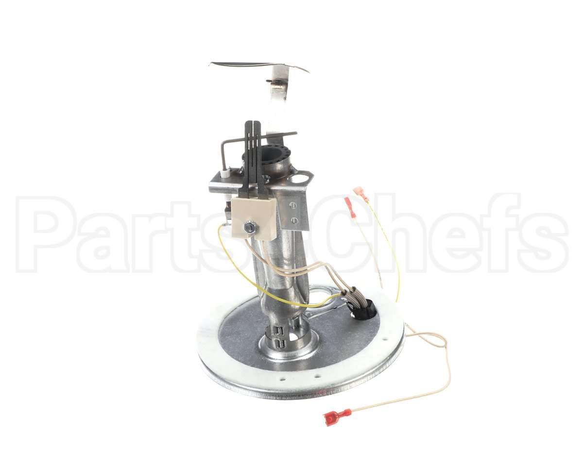 S1-37319801403 York Burner Assembly
