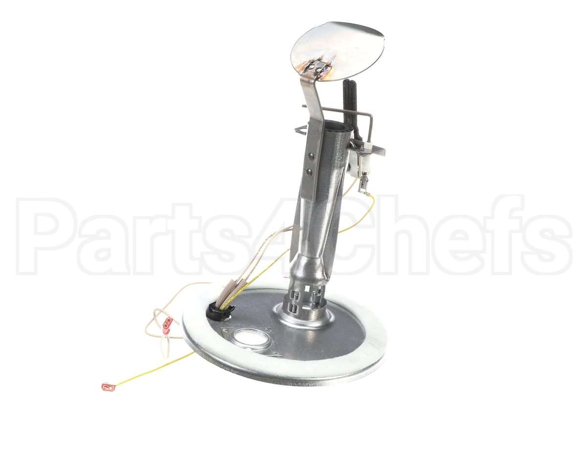 S1-37319801403 York Burner Assembly