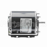 S102 Marathon Motor