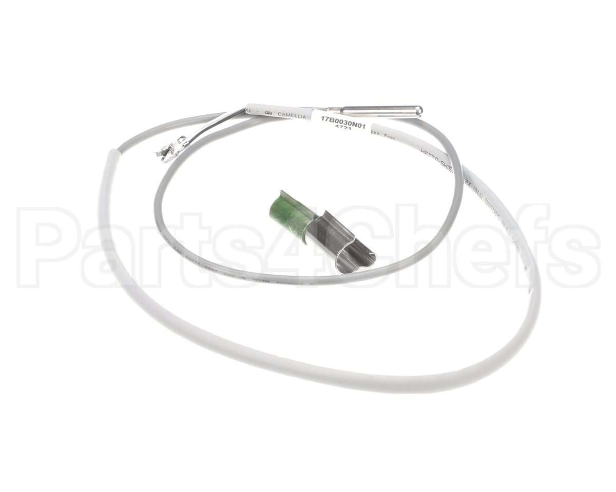 S17S0030N01 Bryant Payne Water Freeze Thermistor Gray