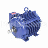 S513 Marathon Variable Speed Motor