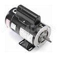 SDS1102 Century Pool And Spa Pump Motor