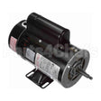 SDS1252 Century Pool And Spa Pump Motor