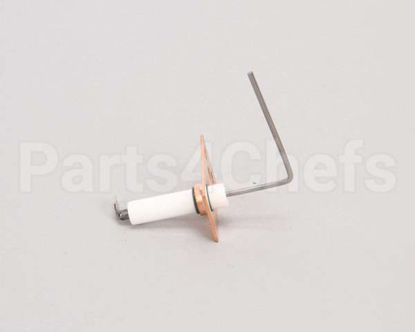 SEN00297 Trane Sensor, Flame