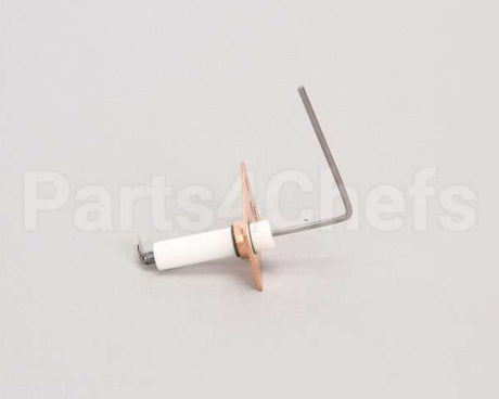 SEN00297 Trane Sensor, Flame