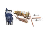 SER-60080-37 Traulsen Termal Expansion Valve & Drier Kit