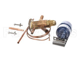 SER-60080-37 Traulsen Termal Expansion Valve & Drier Kit