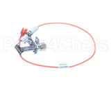 SK9-EZG-996 Lang Pilot Assembly, 80201-25