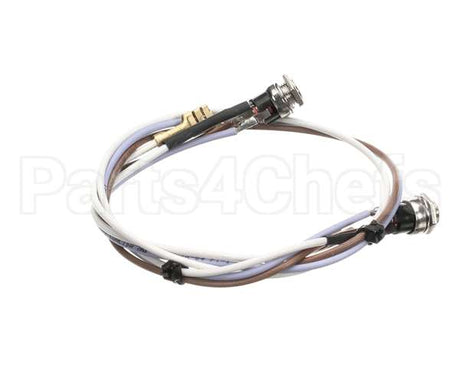 SL300970252 Carpigiani Full Lid Wiring Gbcold