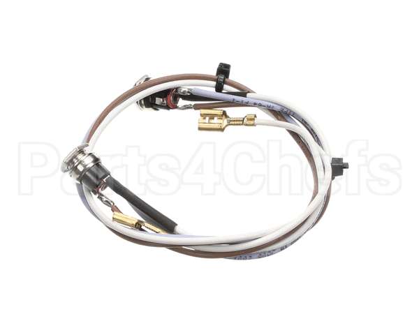 SL300970252 Carpigiani Full Lid Wiring Gbcold