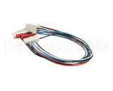 SL320000295 Carpigiani Board Ev Probe Wiring