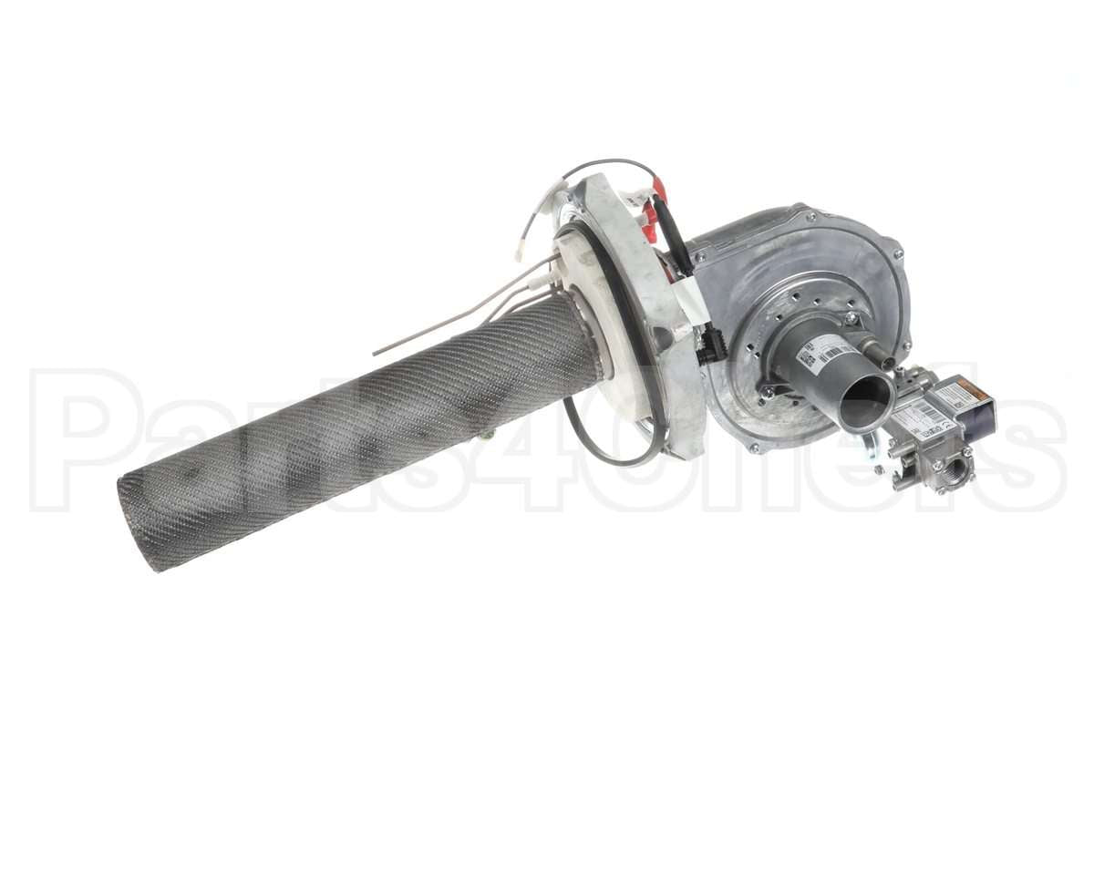 SP21001A Rheem Combustin Assy Nat