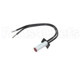 SY9-31601-01-1 Lang Pilot Lt 250V W/Tin Clip