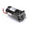T3152 Century Pool And Spa Pump Motor