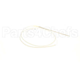 TSSENSOR00012 Cleveland Pasta Rtd Probe