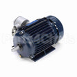 U001A Marathon Motor