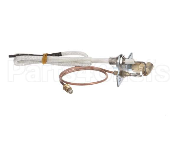 U00677 Globe Pilot Assembly