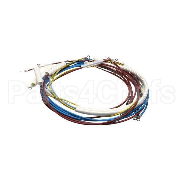 U00700 Compatible Globe Wiring Kit