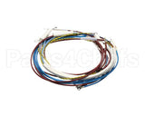 U00700 Globe Wiring Kit