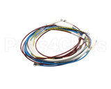 U00700 Globe Wiring Kit