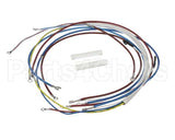 U00813 Globe Wiring Kit