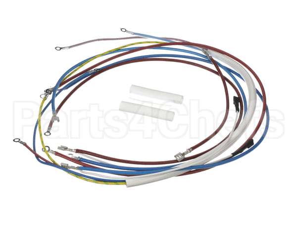 U00813 Globe Wiring Kit