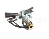 U01211069001 Globe Ods Flame Protection Ng