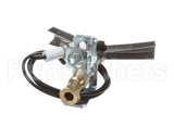 U01211069001 Globe Ods Flame Protection Ng