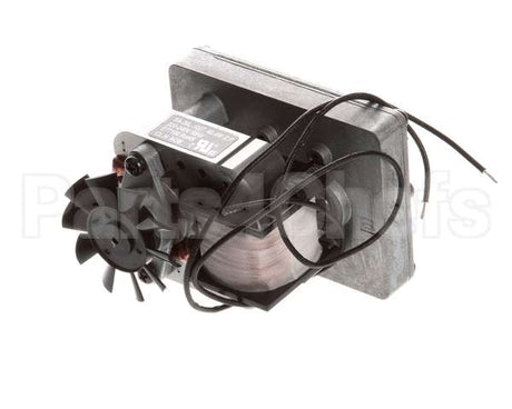 U03011200001 Globe Motor