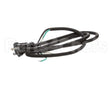 U03021205013 Globe Plug & Lead - 240V