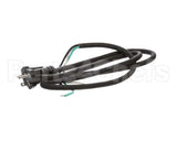U03021205013 Globe Plug & Lead - 240V