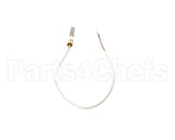 U03111250027 Globe Thermocouple Assembly.