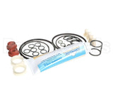 US193-024876 Carpigiani Tune Up Kit Minor Uf253/203P