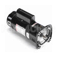 USQ1252 Century Pool And Spa Pump Motor