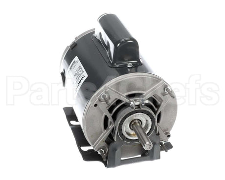 V993-1263 Carnes Motor