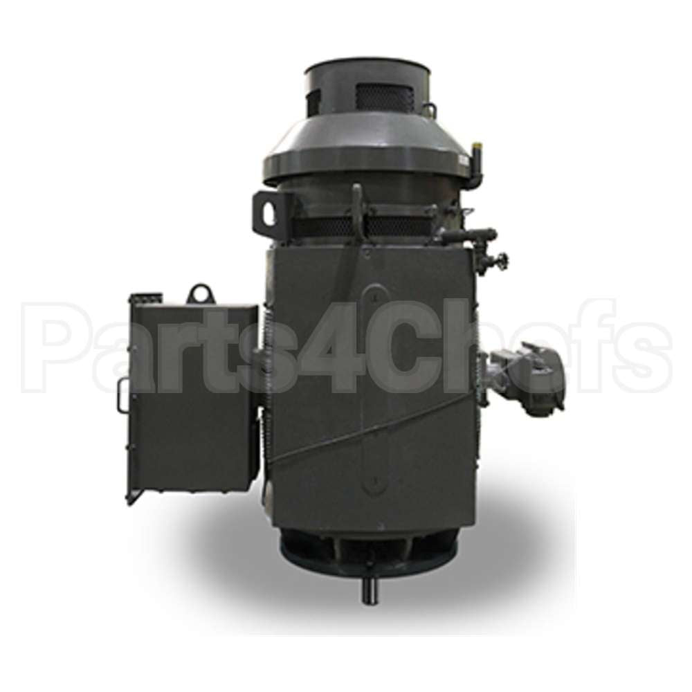 VSKP9006 Teco Vertical Solid Shaft Motor