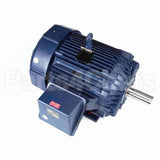 W094-P Marathon Motor