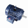 W094-P Marathon Motor