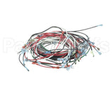 W6900 Nemco Wire Harness