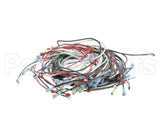 W6900 Nemco Wire Harness