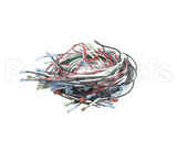 W6900 Nemco Wire Harness