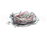 W6900 Nemco Wire Harness