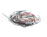W6900 Nemco Wire Harness