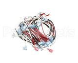 W8075-SSA Nemco Wireset, 75 Capacity W/Readout